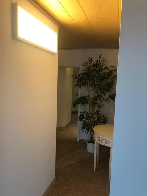 Apartamento Haus Jaeger Ruheoase Im Gruenen Lohfelden Exterior foto